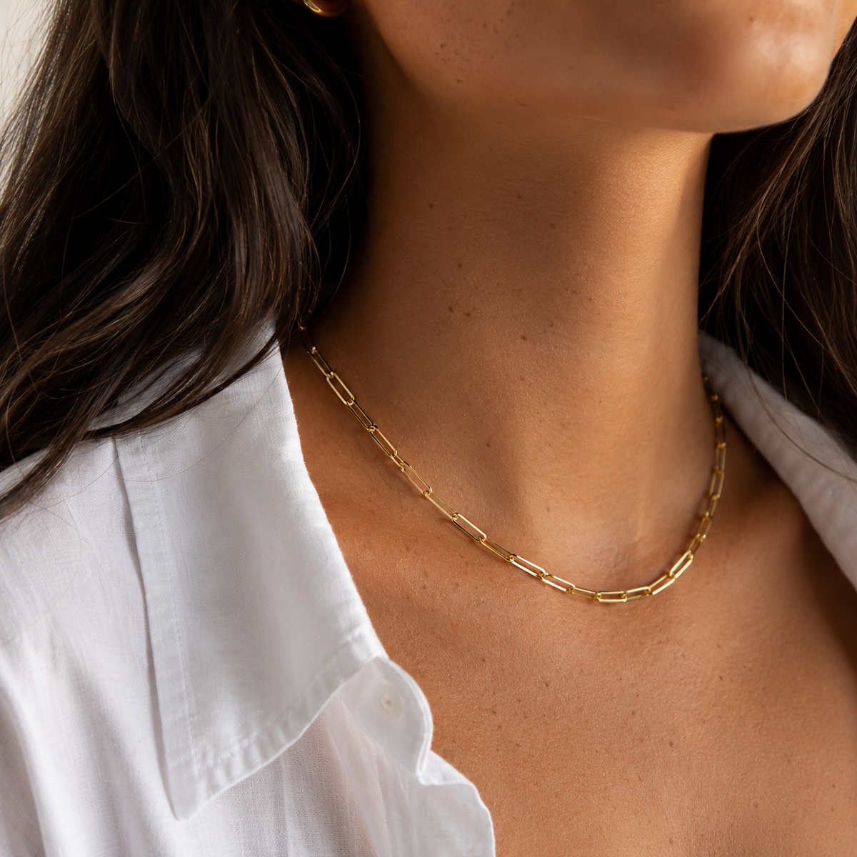 Whitney Large Paperclip Necklace