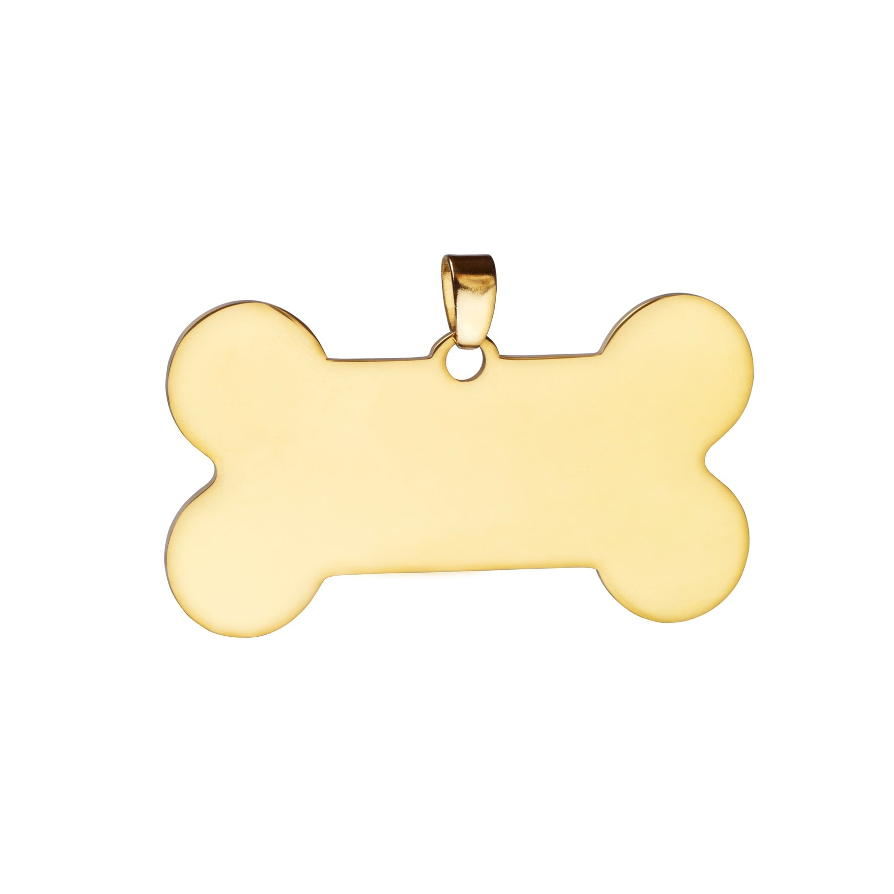 Dexter Pet Charm