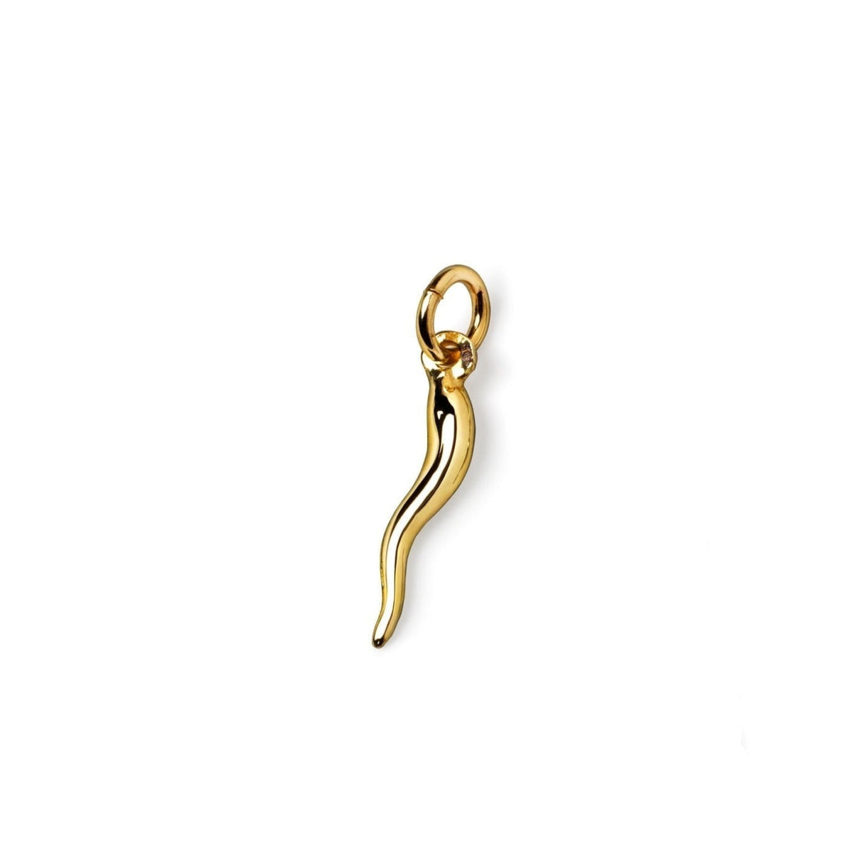 10k Mini Lucky Horn charm