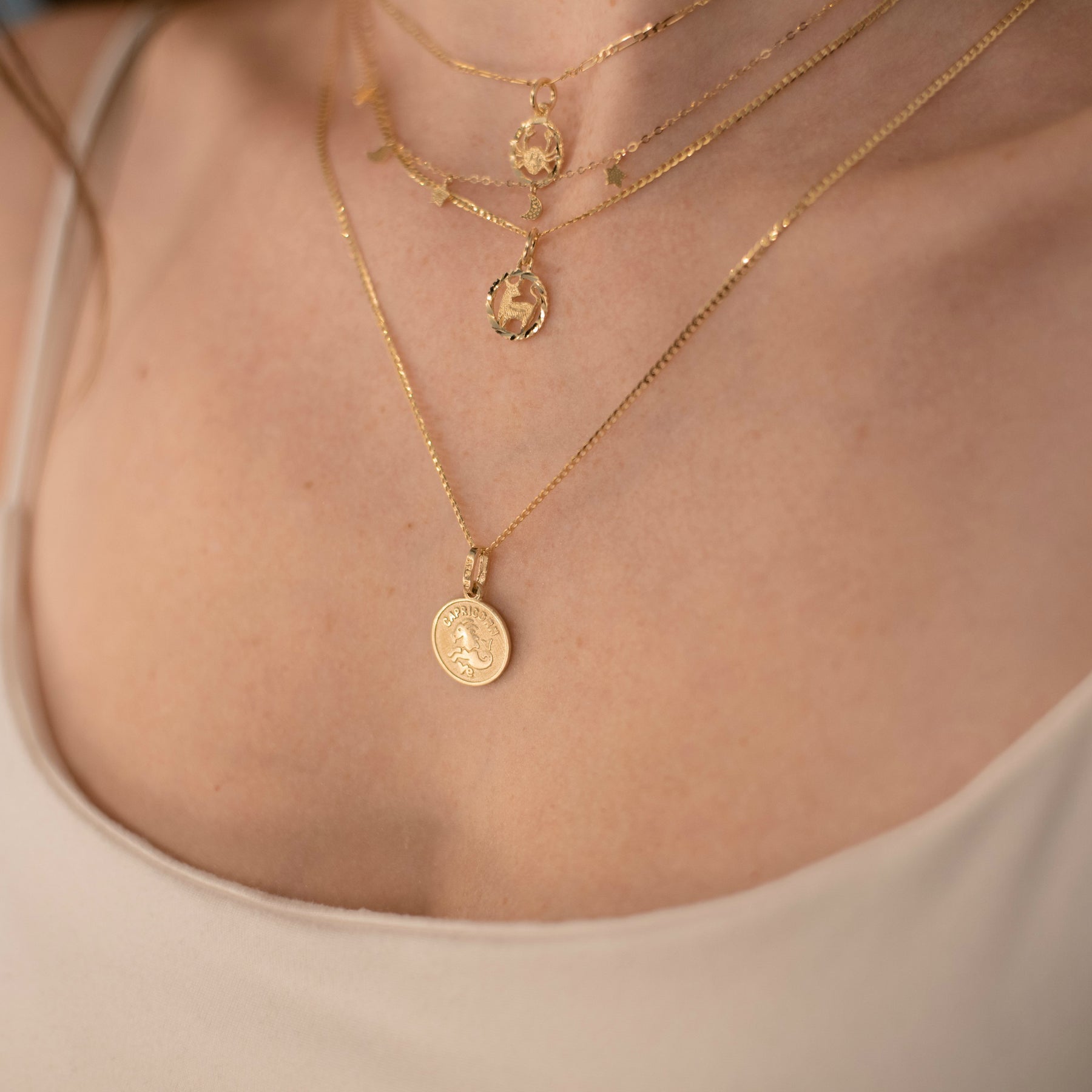 Vanessa Coin Zodiac Charms - Silver & 10k Gold - Suetables