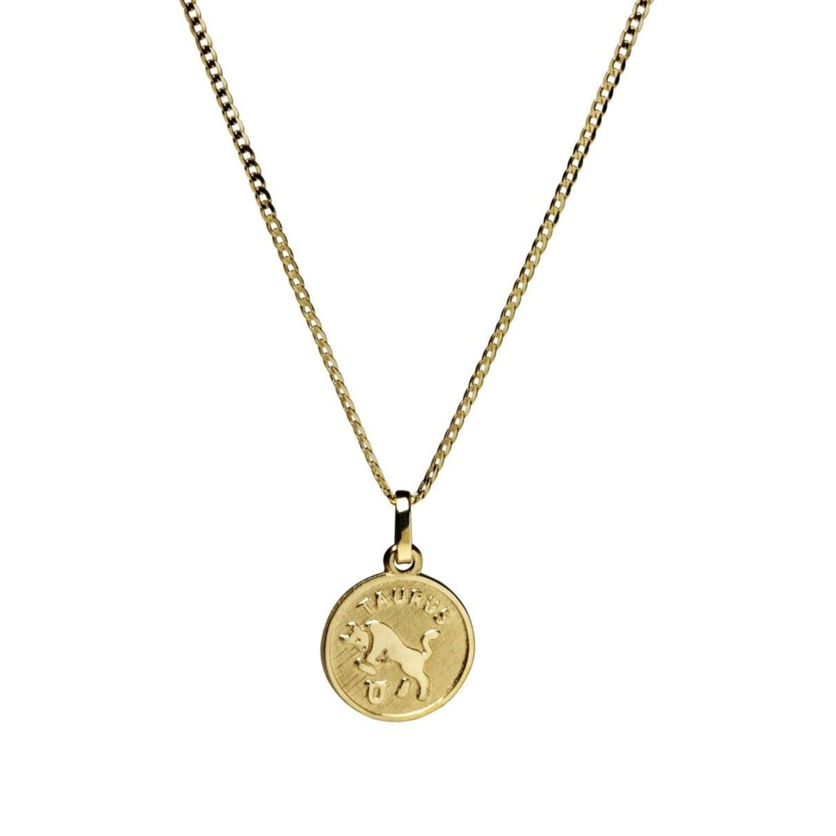10K Gold Vanessa Coin Zodiac Charm