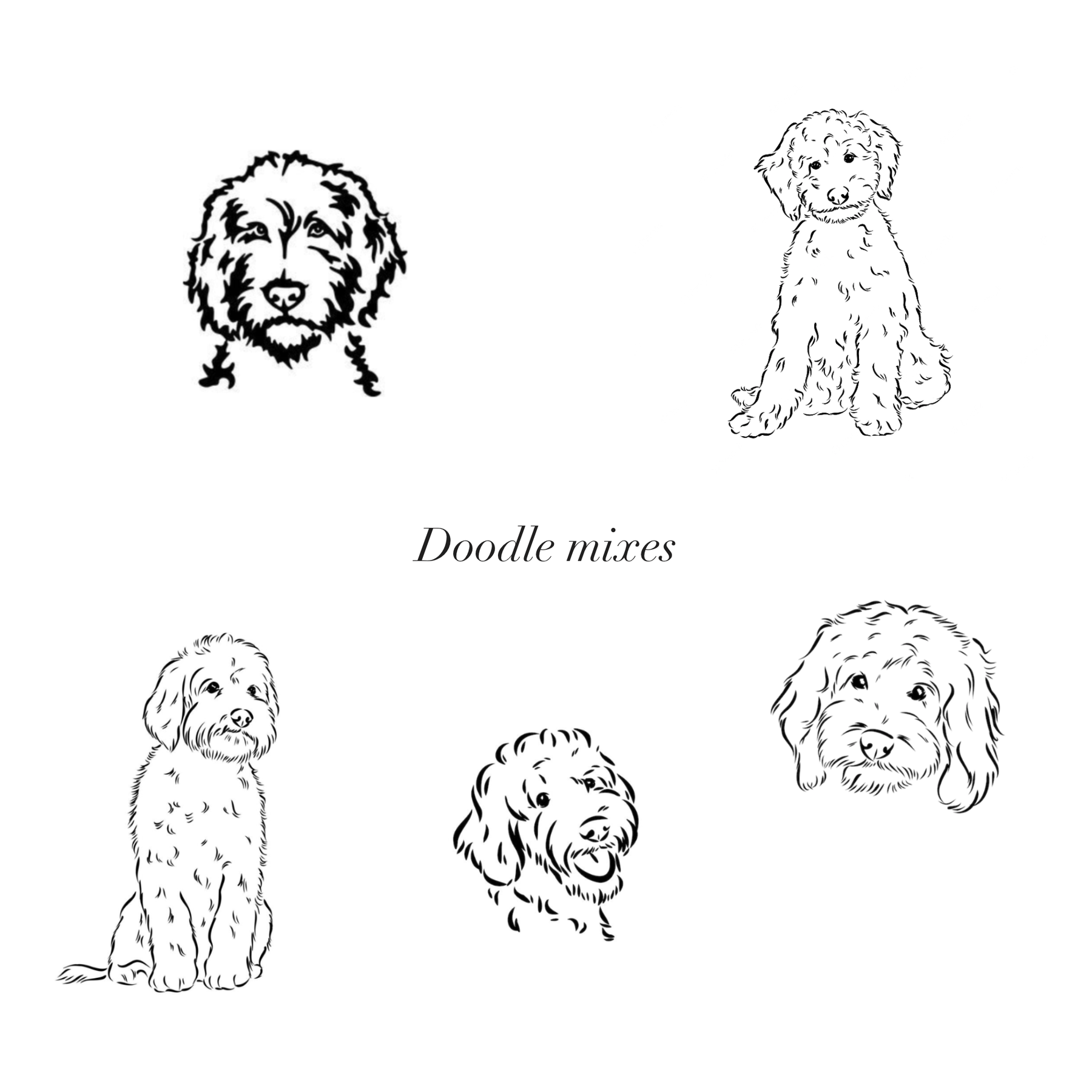 Billie Pet Charm