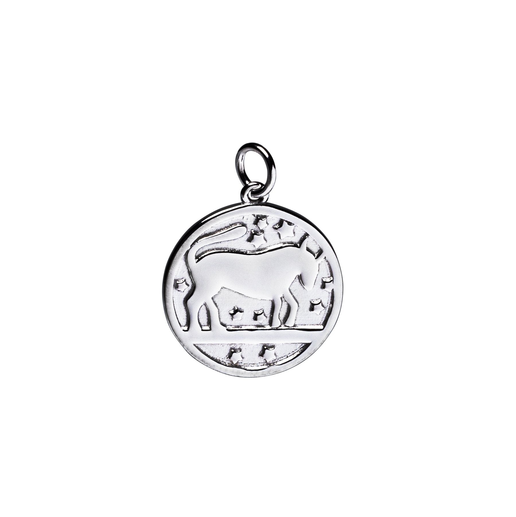 Hero Zodiac Charms