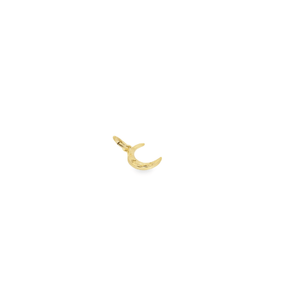 14K Gold Moon Charm