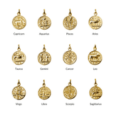 Hero Zodiac Charms