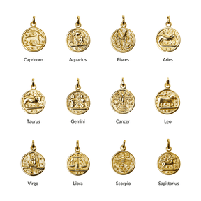 Hero Zodiac Charms