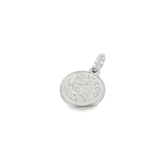 Coin Zodiac Charm