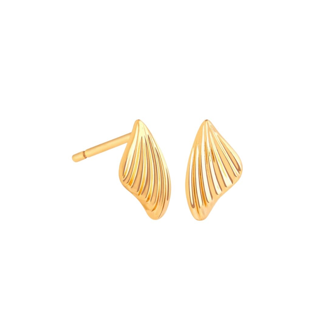 Butterfly Wing Stud Earrings