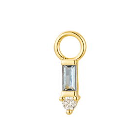 Two Stone Single  Hoop Charm