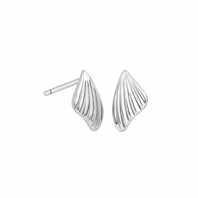 Butterfly Wing Stud Earrings