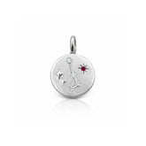 Constellations Silver Charm