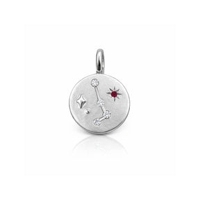 Constellations Silver Charm