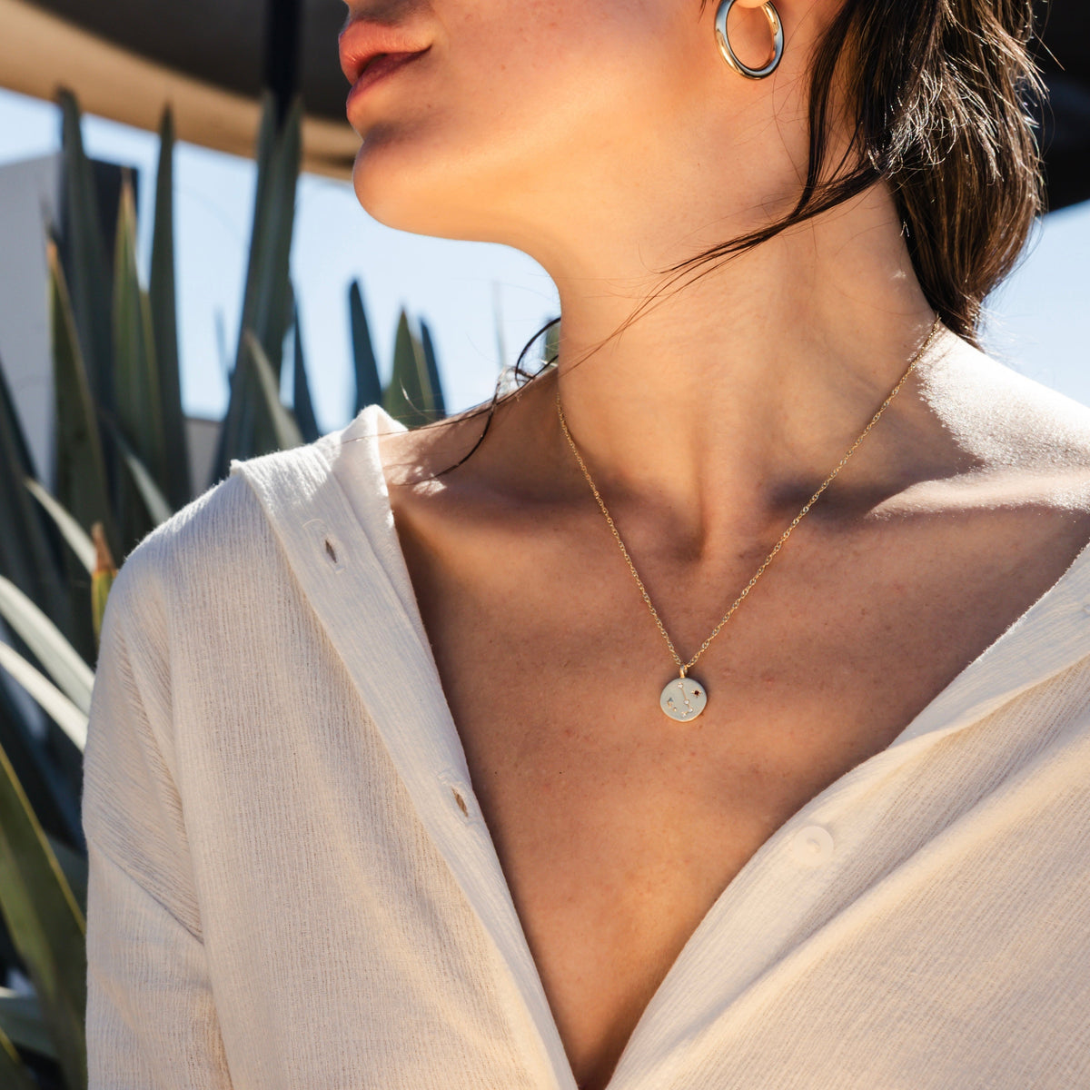 Constellations Silver Charm