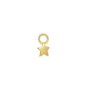 Star Hoop Charm