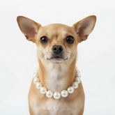 Pearl pet necklaces