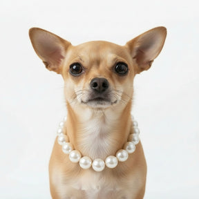 Pearl pet necklaces