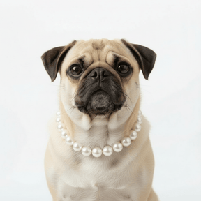 Pearl pet necklaces