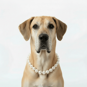 Pearl pet necklaces