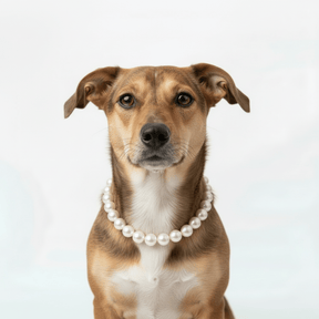 Pearl pet necklaces