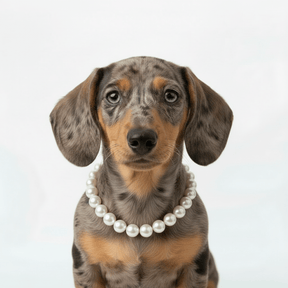 Pearl pet necklaces