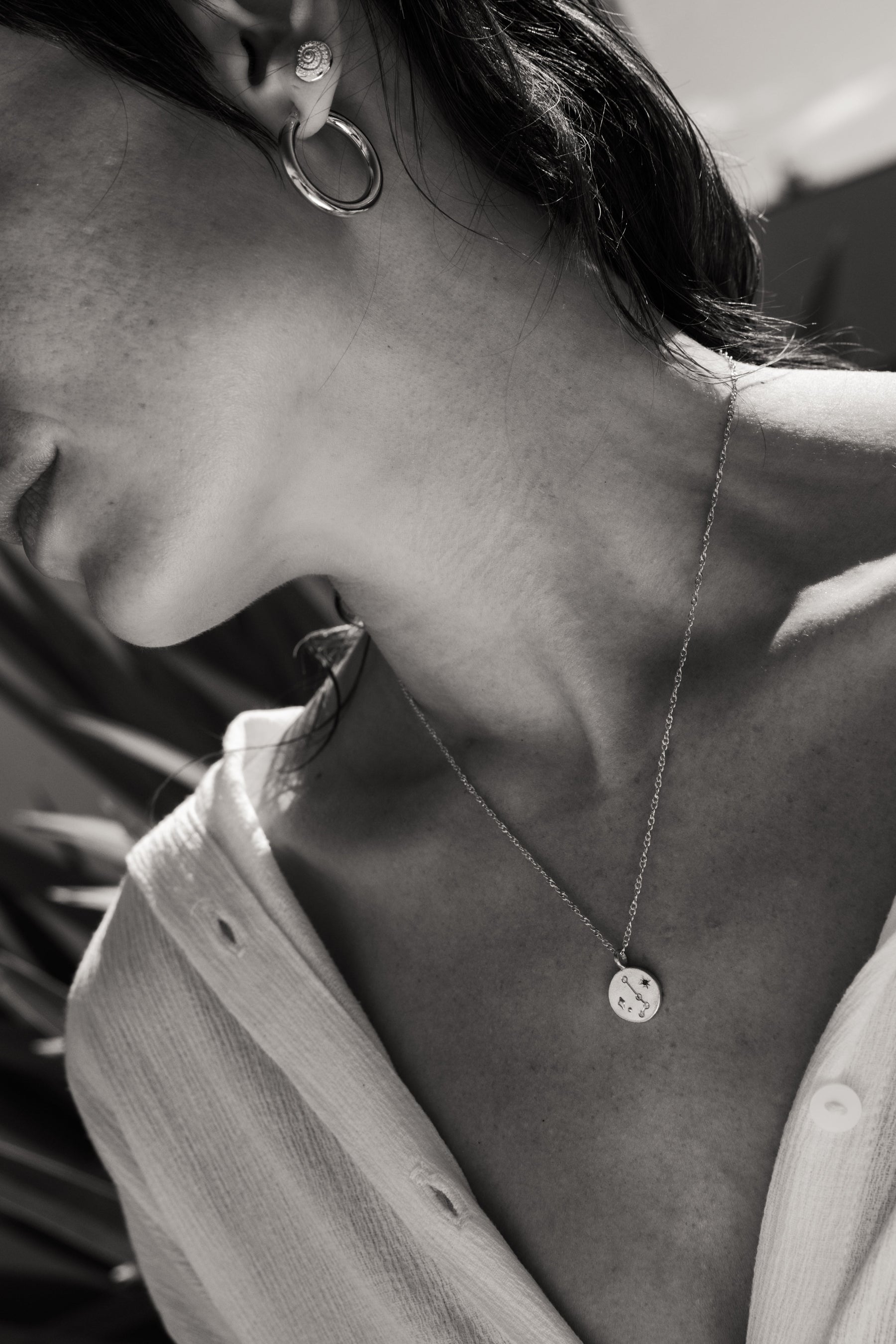 Constellations Silver Charm