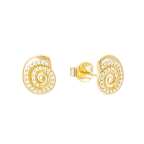 Coquille Shell Studs
