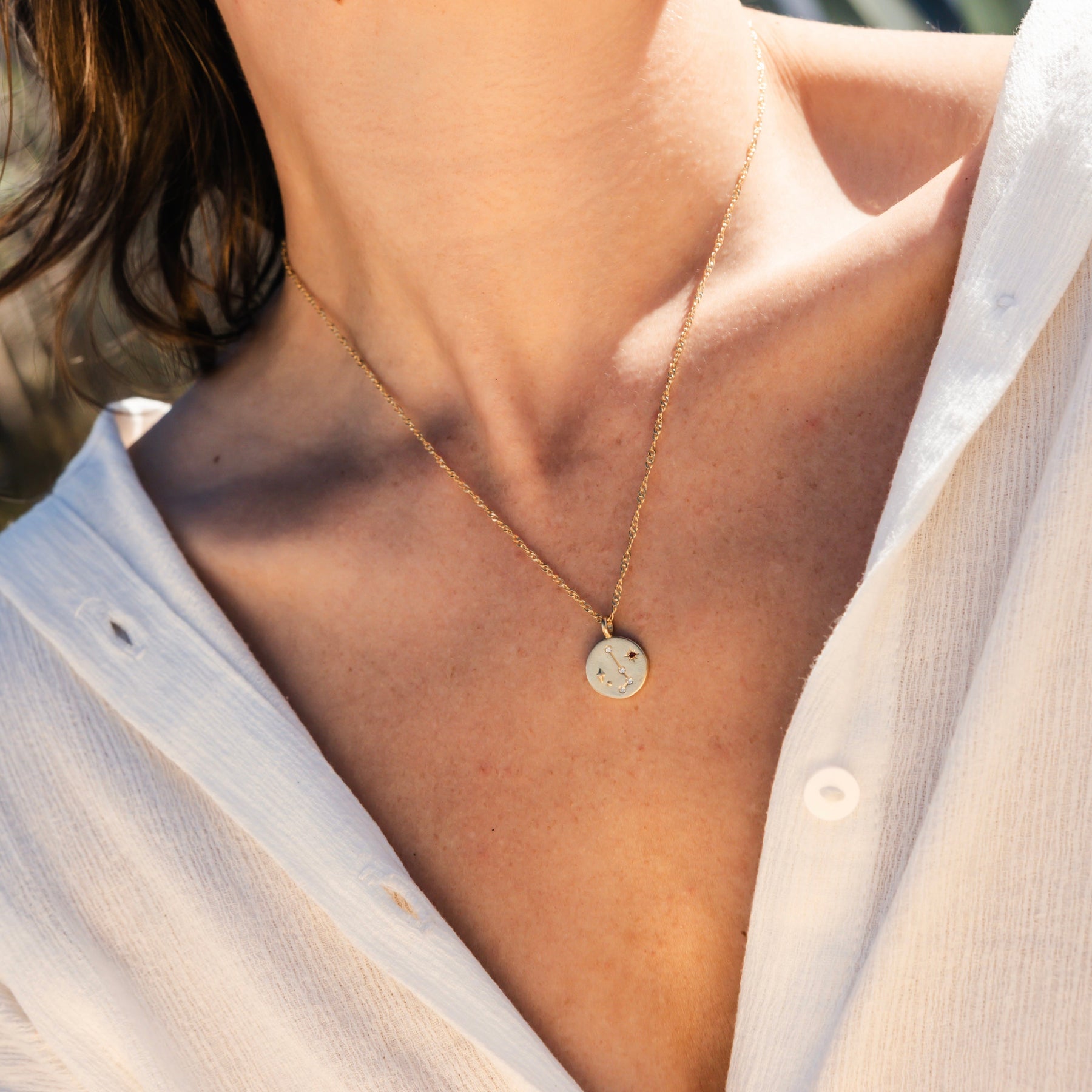 Constellations Silver Charm