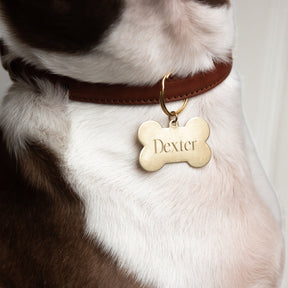 Dexter Pet Charm