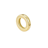 Flush Set Single Hoop Charm