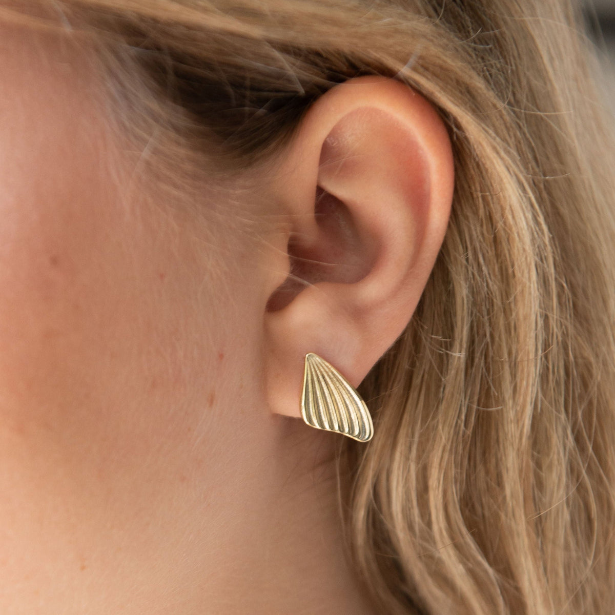 Butterfly Wing Stud Earrings