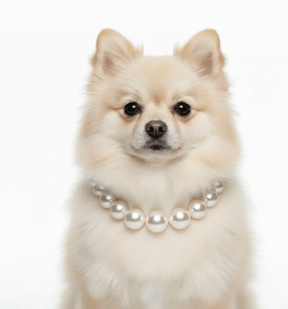 Pearl pet necklaces