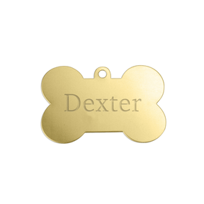 Dexter Pet Charm