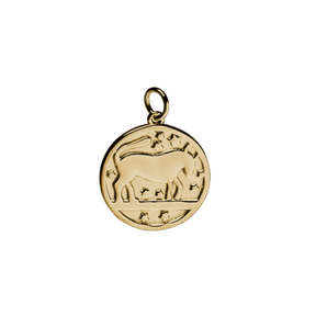 A round silver charm featuring a zodiac sign in the center with star patterns around it.