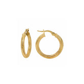10k Gold Brielle Textured Double Hoop - Suetables